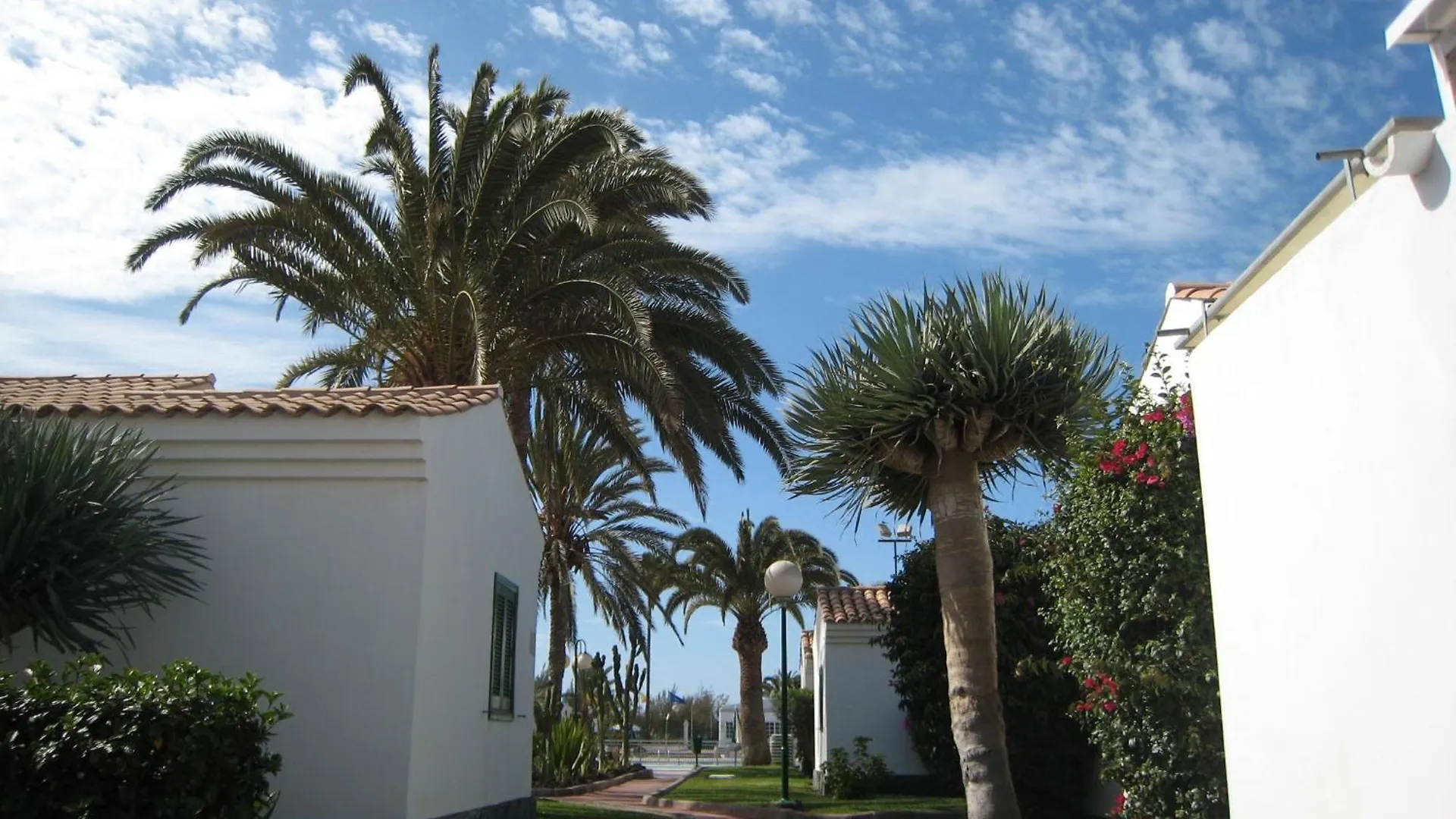 Bungalows Campo Golf Maspalomas  Maspalomas (Gran Canaria)